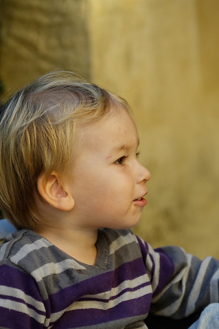 Famille et amis-OCT14-100